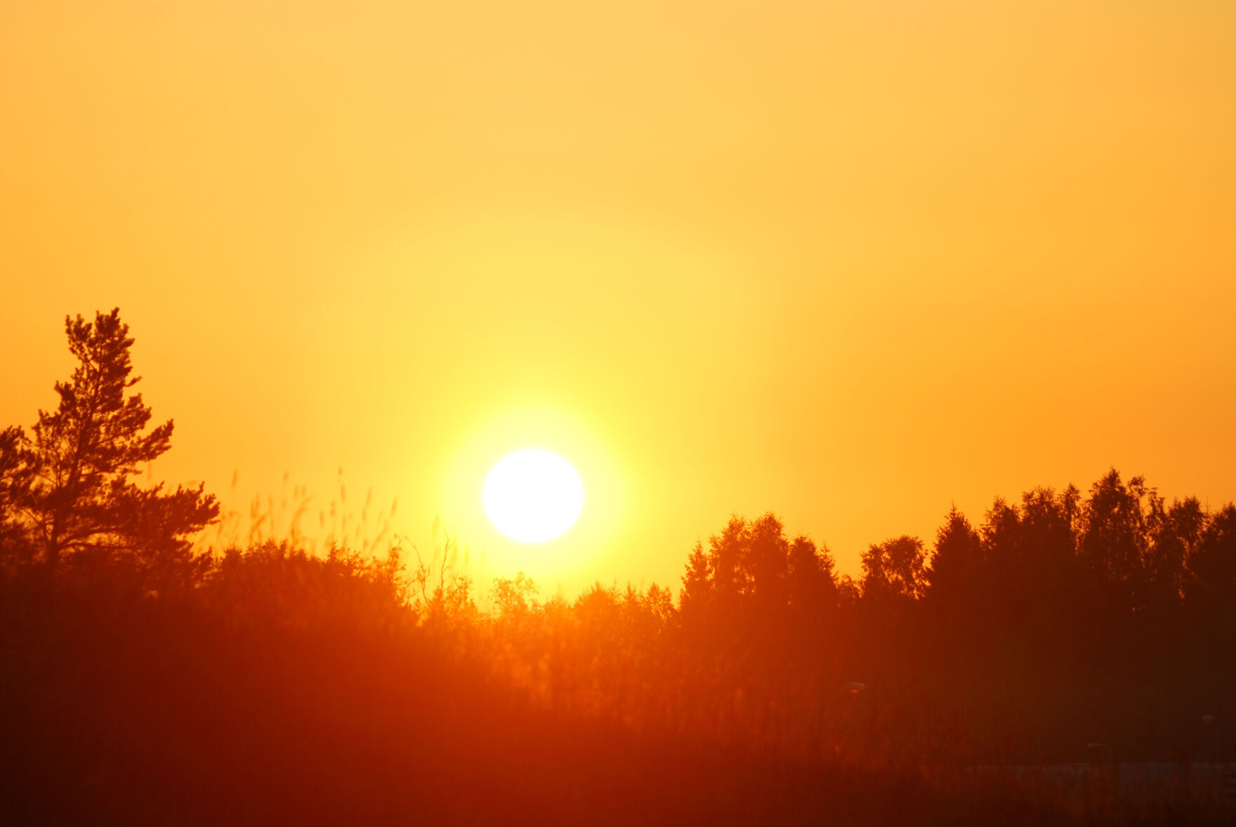 Summer sunrise